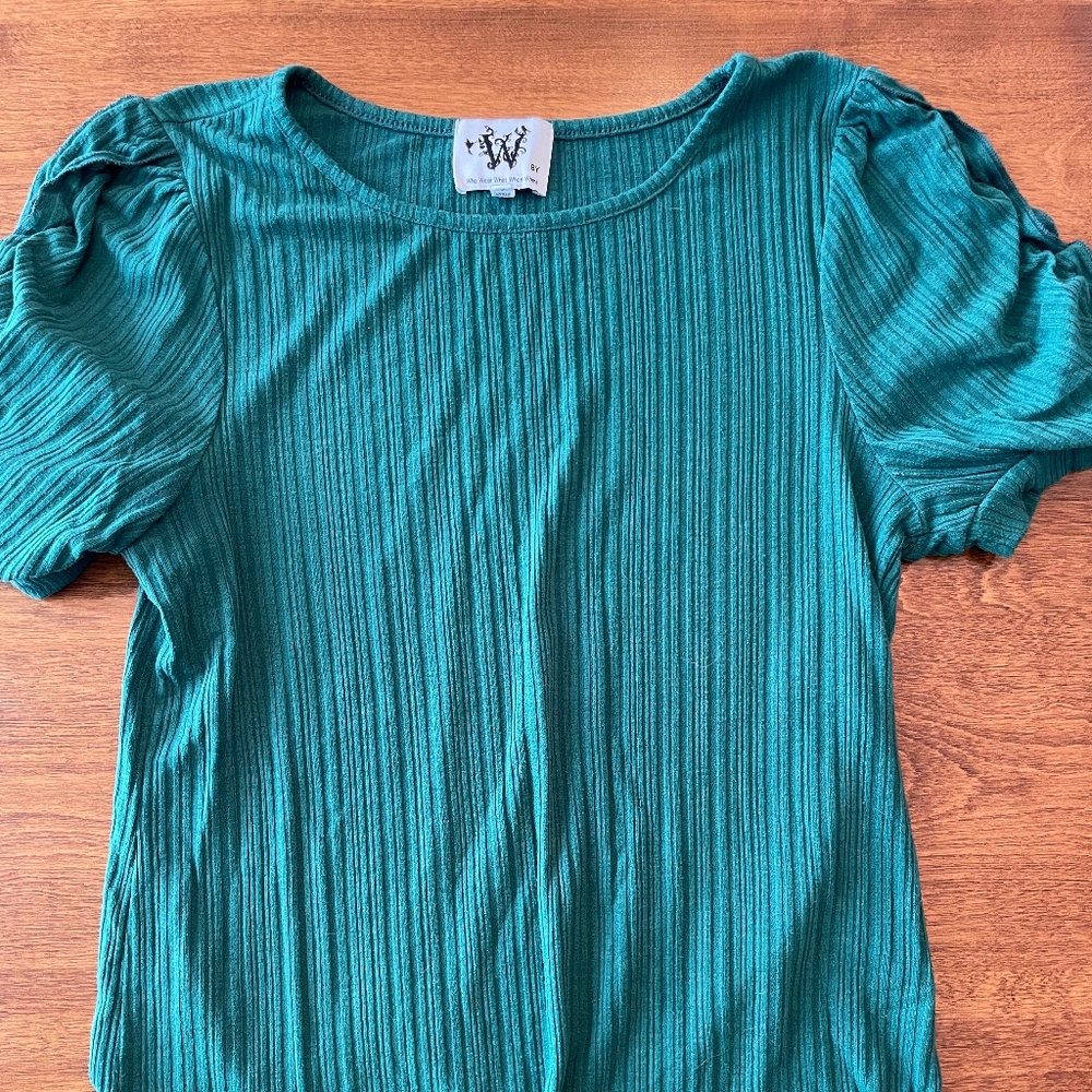 Ruffled sleeves blouse